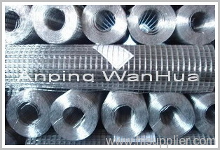 Welded Wire Mesh