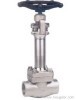 Forged Steel Cryogenic Globe Valve