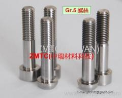 Forged Gr. 5 Ti Alloy Screws