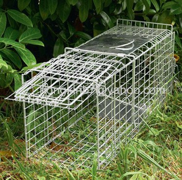 Animal cage