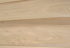 elm veneer