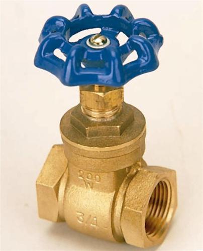 bras gate valves