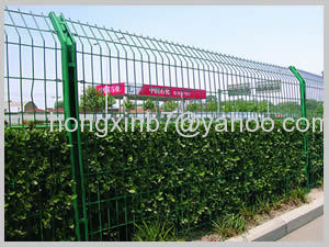 Pvc Coated Welded Wire Mesh Fences