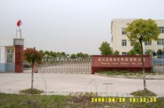 Wuhan Forte Co.,LTD