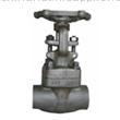 Forged steel gate valve