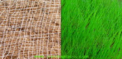 Sichuan B&P Bamboo Industry Development Co.,Ltd