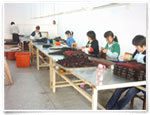 Xuchang Diana Hair Products Co.,Ltd