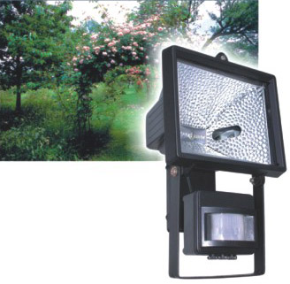 Halogen Flood light