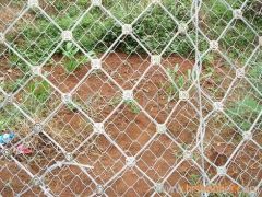 SNS Protective fence
