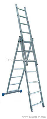 Aluminum Extension Ladder