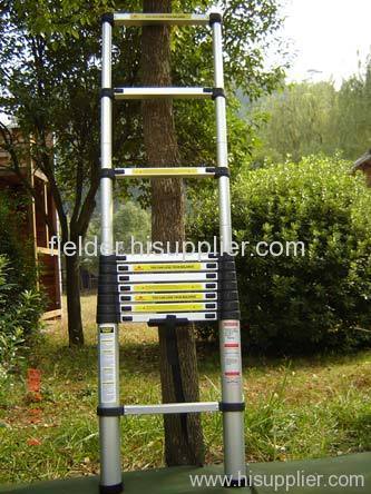 Telescopic Ladder