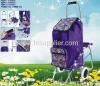 Shopping Trolley with Seat new design