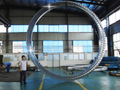 China Luoyang Bearing Inc.