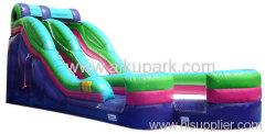 Giant Inflatable Slide