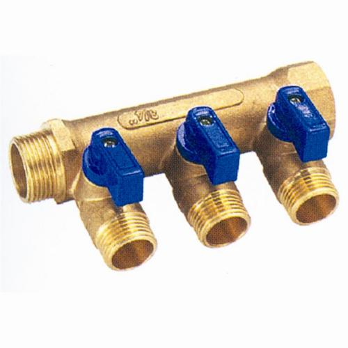 Manifold with valves