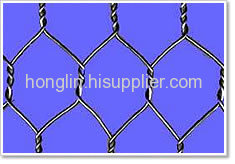 Hot dip Galvanized Hexagonal Wire Meshes