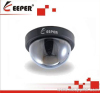 Color Dome Surveillance Camera with 3.6mm