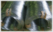 Steel Wire