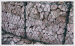 Gabion Mesh