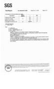 SGS report for the magnet coating B page