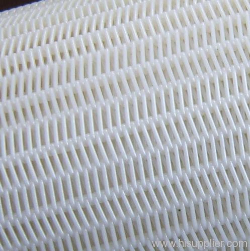 Polyester Conveyor Belt Mesh