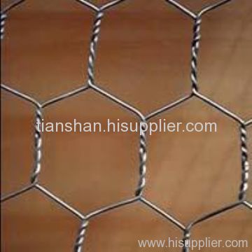 Hexagonal Wire Screening