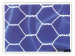 Galvanized Hexagonal Mesh