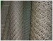 Galvanized Chicken Wire Cloth