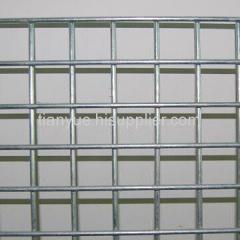 Galvanized Welded Wire Mesh