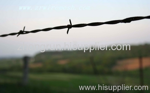 Razor Wire