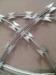 galvanized razor barbed wire fencing