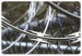 galvanized razor barbed wire fencing
