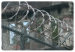 galvanized razor barbed wire fencing
