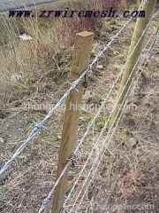 hot galvanized barbed wire