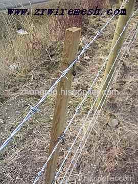 hot galvanized barbed wire