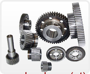 Gear Motor