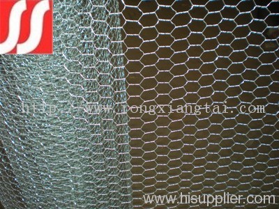 Hexagonal Wire Mesh