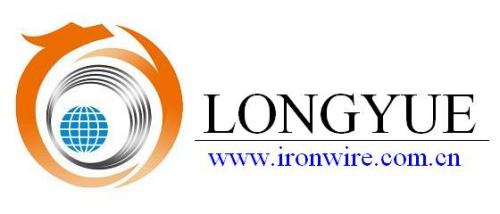 Dingzhou Longyue Technic Wire Co., Ltd.