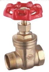 Gate Valve