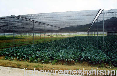 sun shade cloth producer