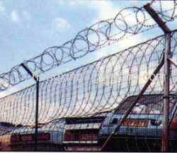 Razor barbed mesh