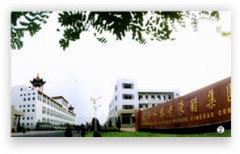 Shanxi Shuita International Trade Co.,Ltd