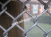 Galvanized Chain Link Fence