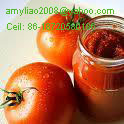 Canned Tomato Paste brix 28-30%