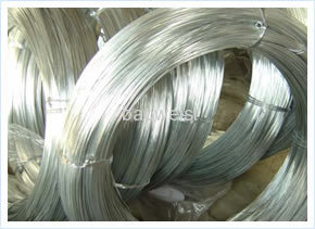 Galvanized Steel Wires