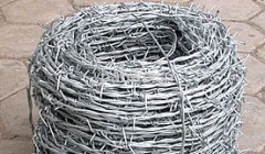 Galvanized Barb Wire