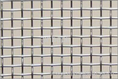 Galvanized Steel Mesh