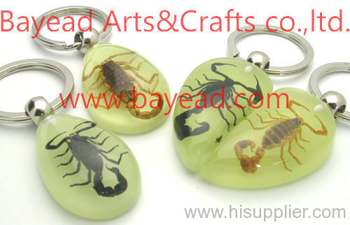 real insect amber keychains,bug keyring,insect keychains,unique gift