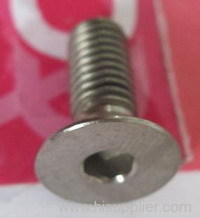 Titanium Bolt for motorbike