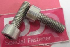 Hastelloy screw